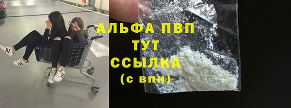 винт Алексин