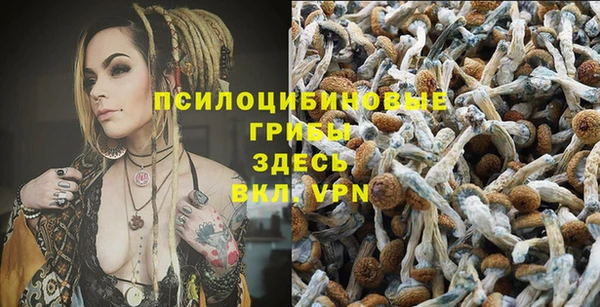 спиды Покровск