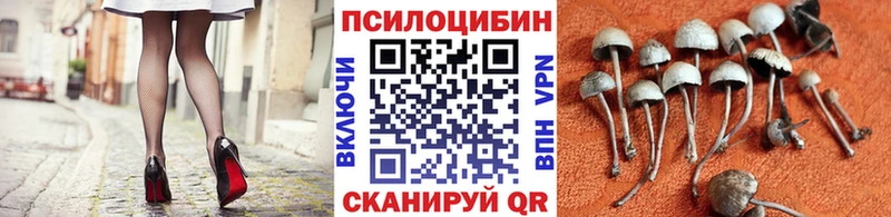 Псилоцибиновые грибы Psilocybine cubensis Нурлат