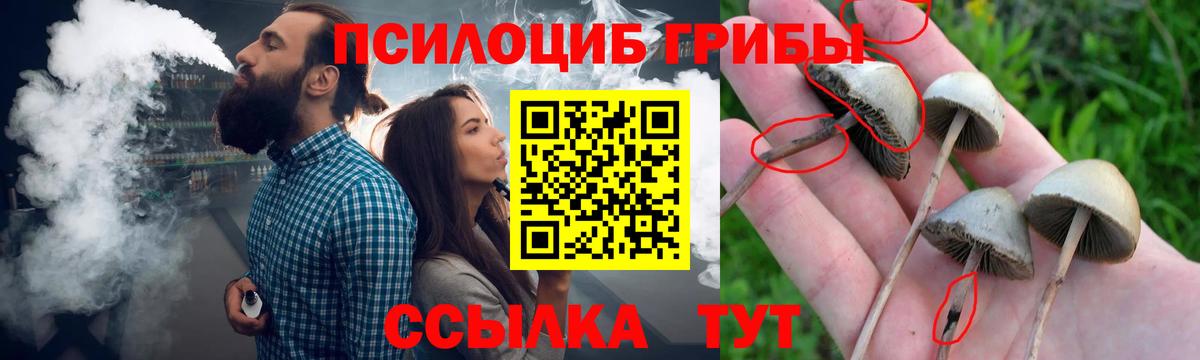 Псилоцибиновые грибы мухоморы  Вход с VPN  Нурлат 