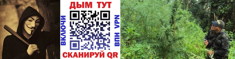 Каннабис индика  Нурлат 